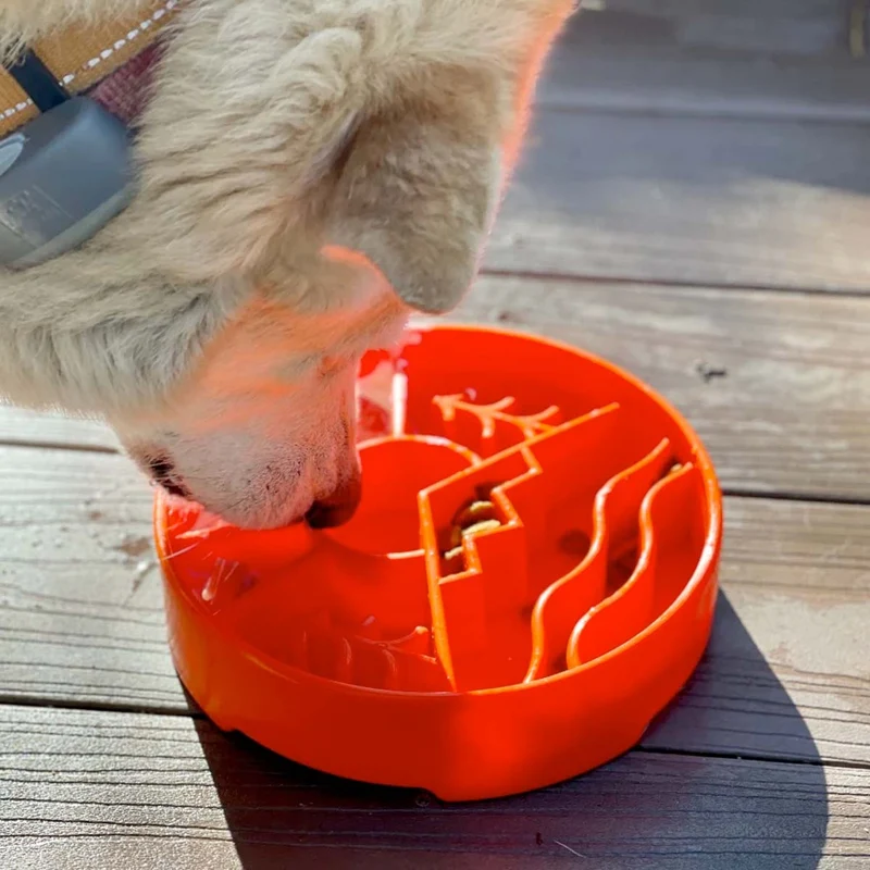 Antischlingnapf | eBowl Great Outdoors Orange