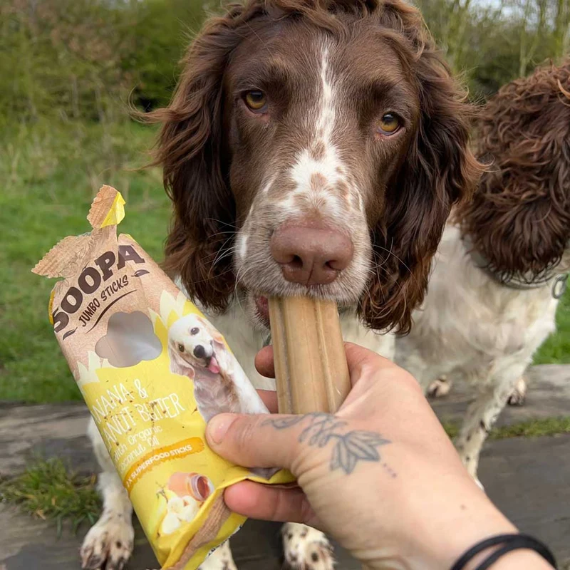 Jumbo Dental Sticks, Banane & Erdnussbutter