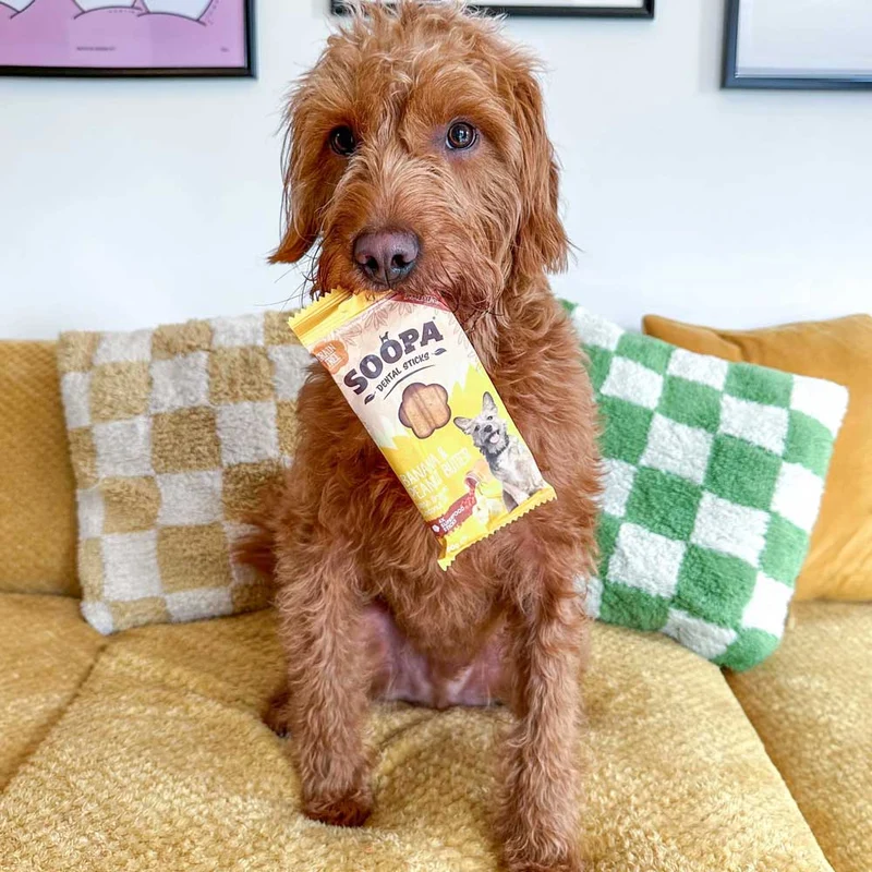 Dental Sticks, Banane & Erdnussbutter