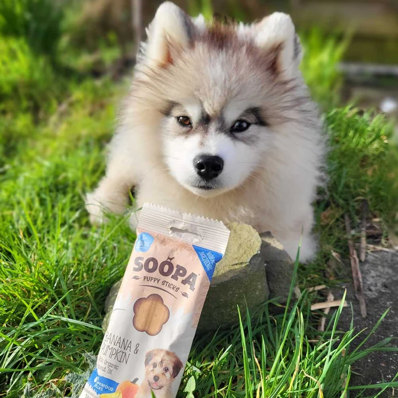Puppy Dental Sticks, Banane & Kürbis