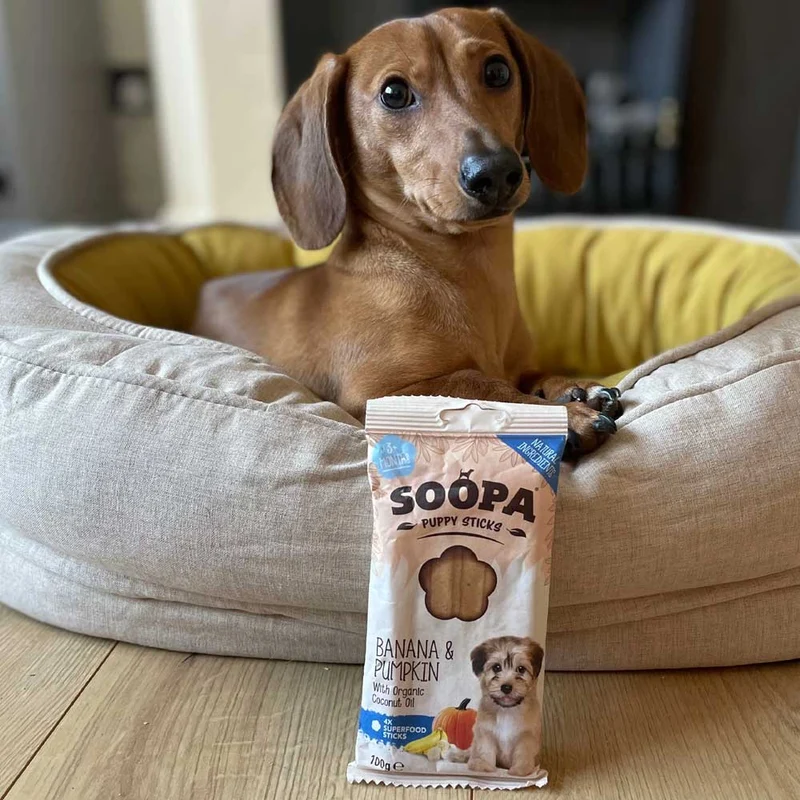 Puppy Dental Sticks, Banane & Kürbis