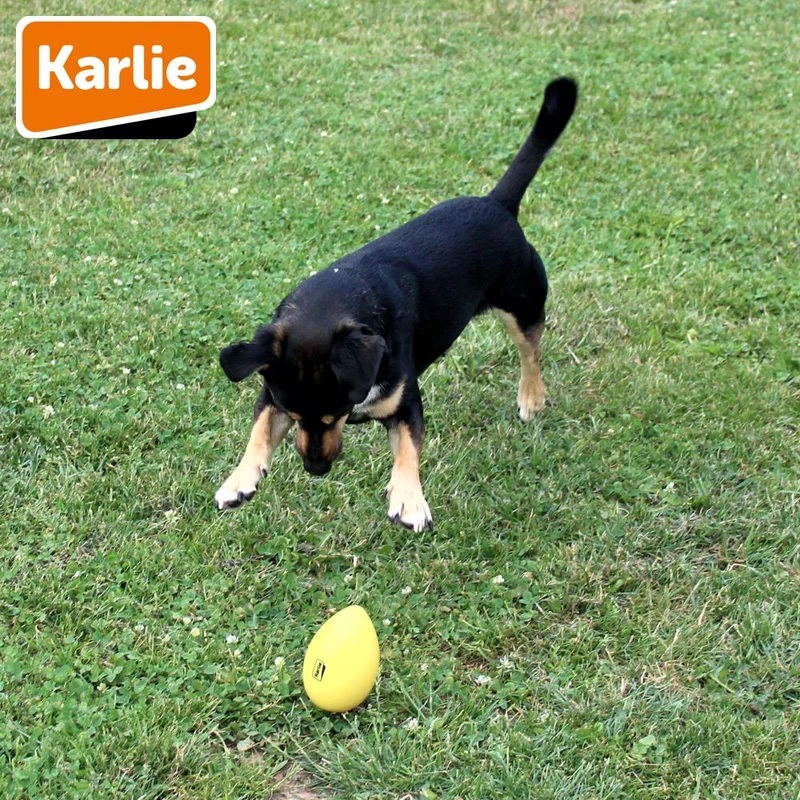 Karlie Funny Eggy - Treibei für Hunde - Spielei - Treibball - Hundespielzeug