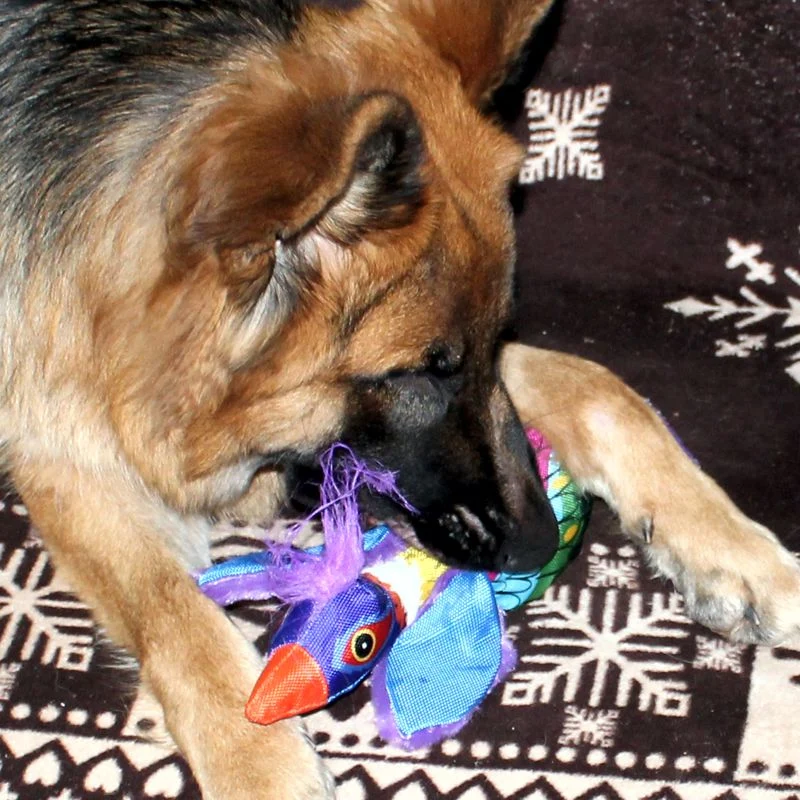 Karlie Plüsch-Hundespielzeug Krazy Kritter + Bird - Plüschtier mit Squeaker