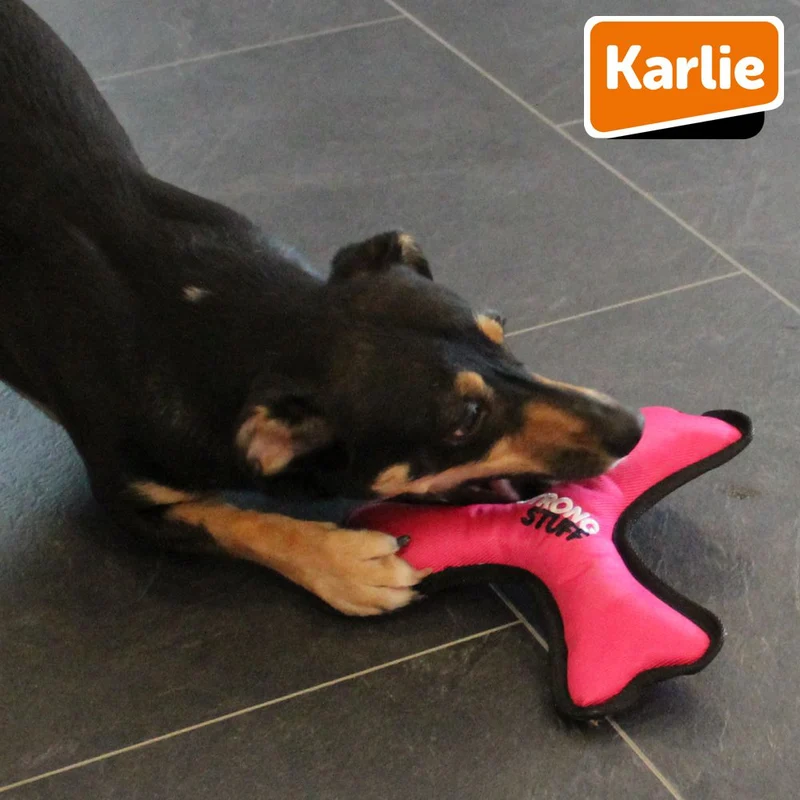 Karlie Strong Stuff Hundespielzeug - Oxford-Nylon Zerrspiel robust mit Squeaker