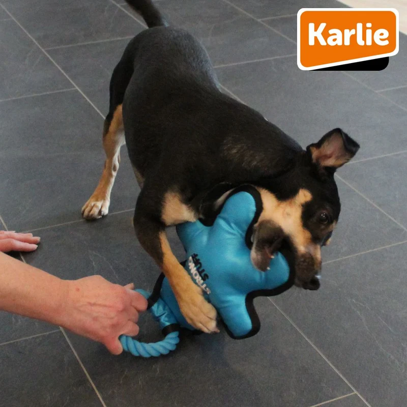 Karlie Strong Stuff Hundespielzeug - Oxford-Nylon Zerrspiel robust mit Squeaker