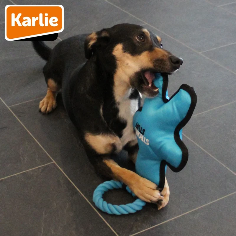 Karlie Strong Stuff Hundespielzeug - Oxford-Nylon Zerrspiel robust mit Squeaker