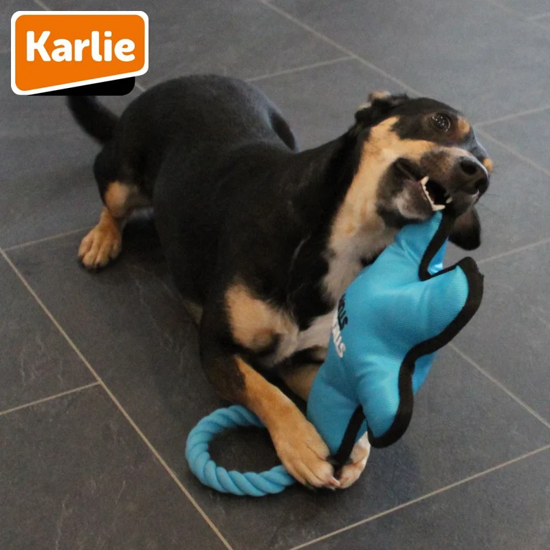 Karlie Strong Stuff Hundespielzeug - Oxford-Nylon Zerrspiel robust mit Squeaker