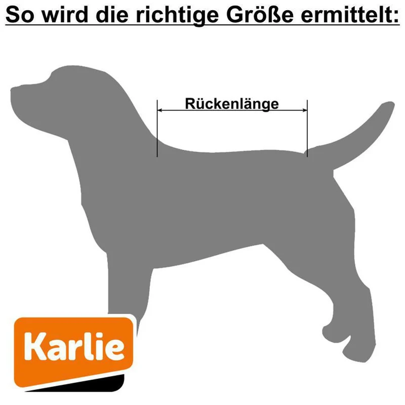 Karlie Regenmantel Sportiv 2in1 - blau gelb Hundemantel Hundepullover Regenjacke