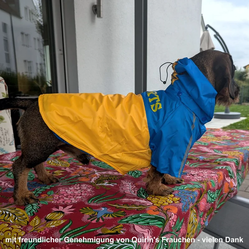 Karlie Regenmantel Sportiv 2in1 - blau gelb Hundemantel Hundepullover Regenjacke