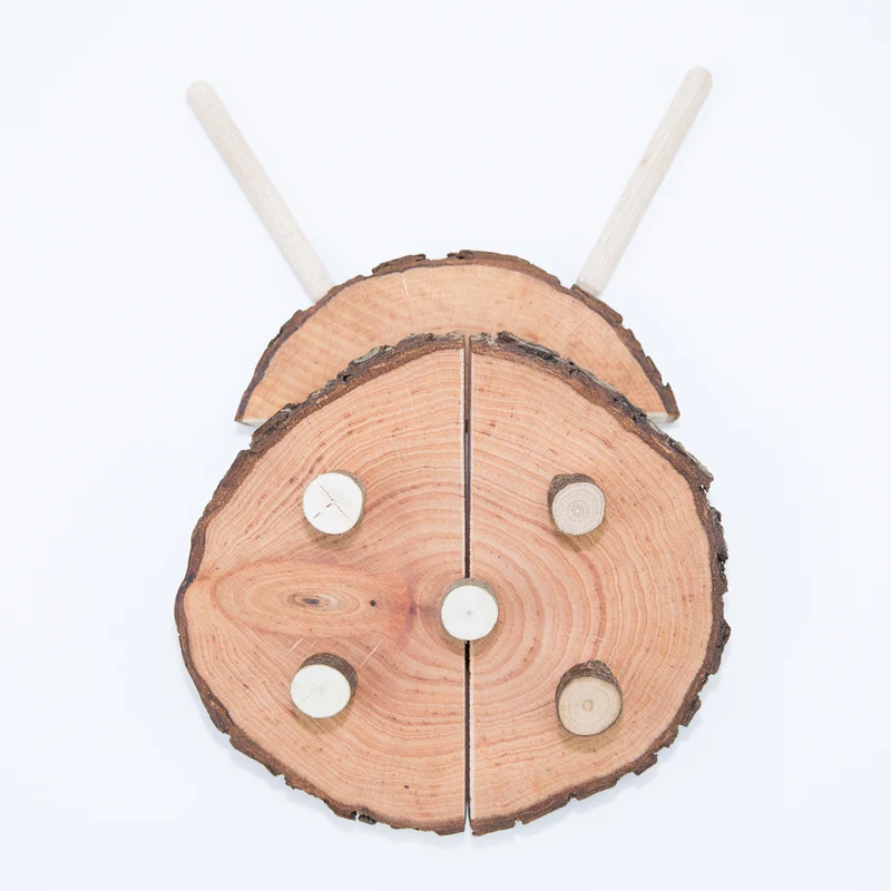 Magic Wood Creative Blocks