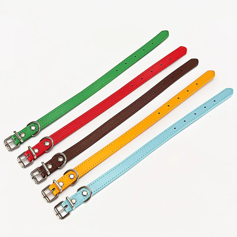 Buntes Lederhalsband für Hunde – Verstellbar und Strapazierfähig