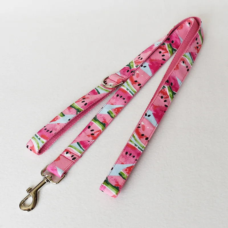 Hundehalsband mit Schleife und Leine Im Wassermelonen-Design – Verstellbar und Komfortabel