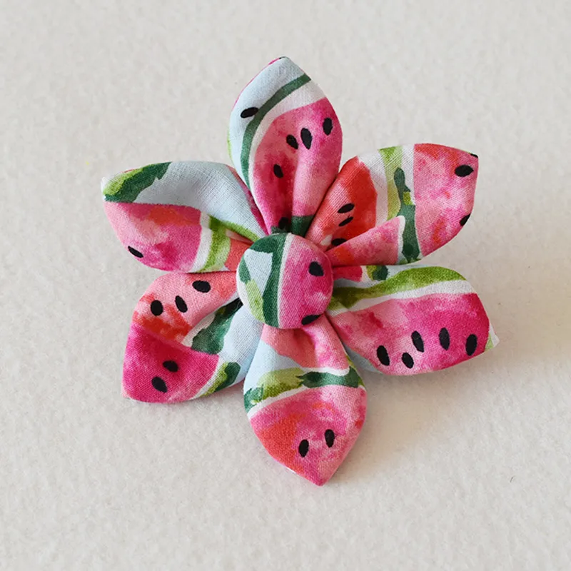 Hundehalsband mit Schleife und Leine Im Wassermelonen-Design – Verstellbar und Komfortabel