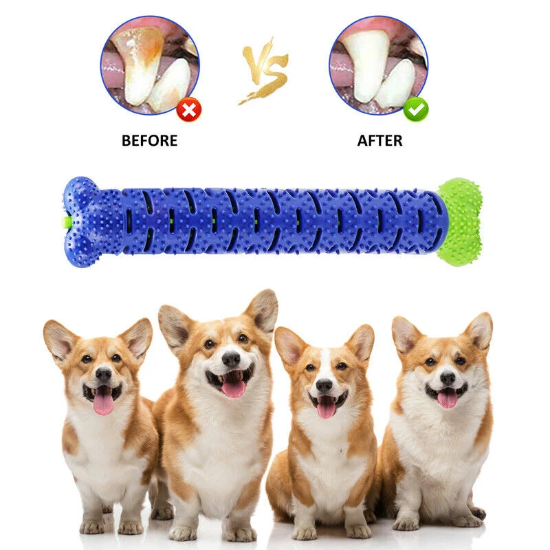 Zahnpflege-Kauspielzeug für Hunde – Dentalspielzeug in Knochenform Zur Zahnreinigung