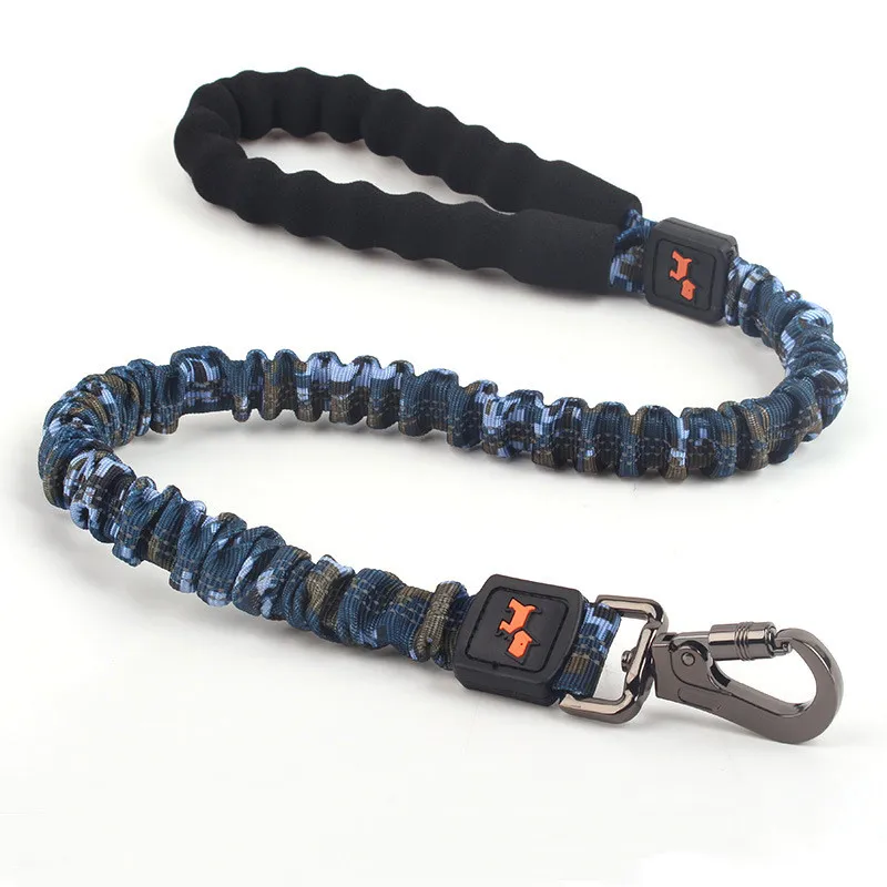 Elastische Hundeleine mit Stoßdämpfung – Verstellbare Nylon-Leine für Hunde