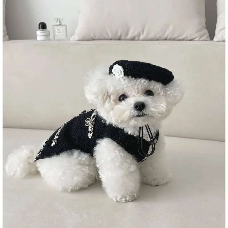 Elegantes Hundehalsband mit Schickem Hütchen und Blumenapplikation – Modisches Design für Deinen Vierbeiner