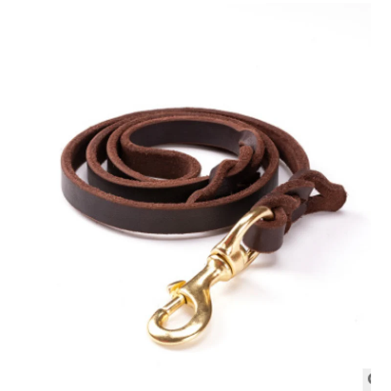 Leder Hundeleine mit Goldener Karabiner – Robustes und Elegantes Hundezubehör