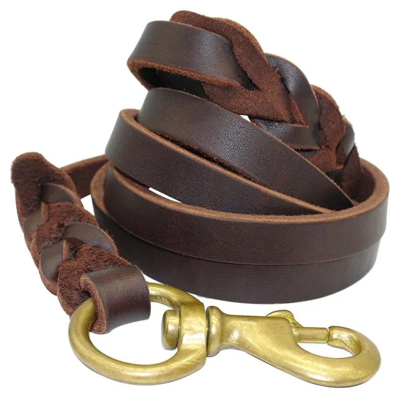 Leder Hundeleine mit Goldener Karabiner – Robustes und Elegantes Hundezubehör