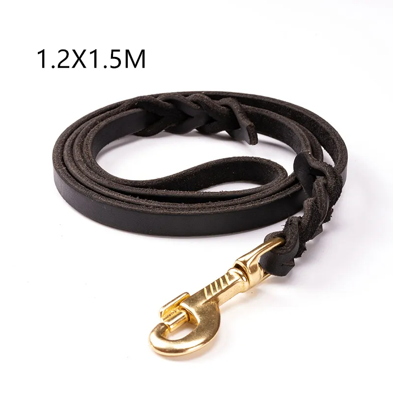 Leder Hundeleine mit Goldener Karabiner – Robustes und Elegantes Hundezubehör