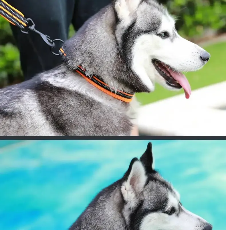 Truelove Reflektor-Hundehalsband – Atmungsaktiv und Verstellbar für Höchsten Komfort