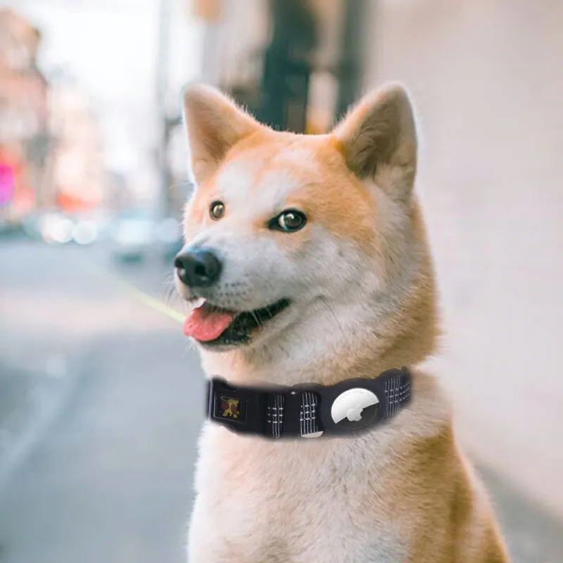 Verstellbares Hundehalsband mit Reflektorstreifen – In Verschiedenen Farben Erhältlich